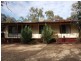 179 Evans Road, Barmera SA 5345