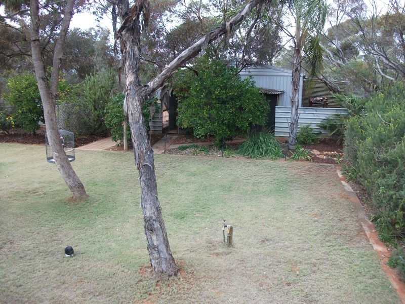 179 Evans Road, Barmera SA 5345