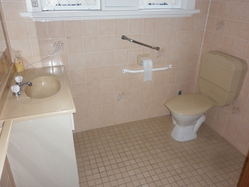 161 Renmark Avenue, Renmark SA 5341