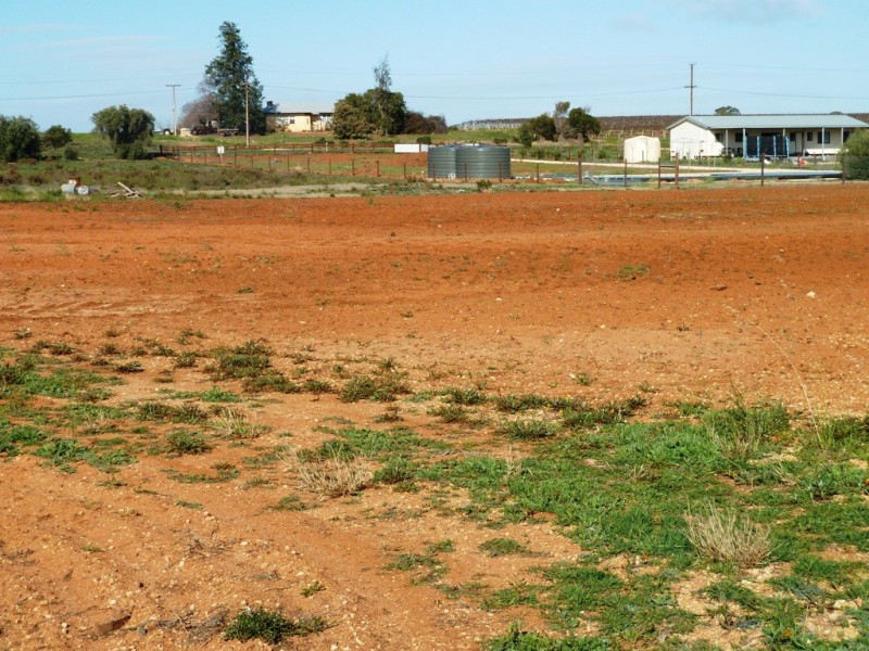 Lot 2 Badcoe Road, Loxton SA 5333