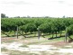 - Kulkyne Street, Renmark SA 5341