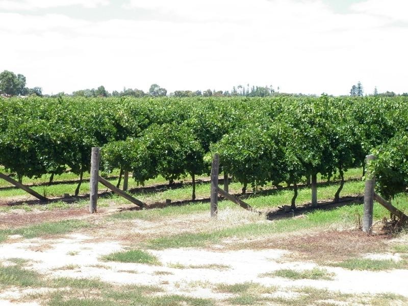 - Kulkyne Street, Renmark SA 5341