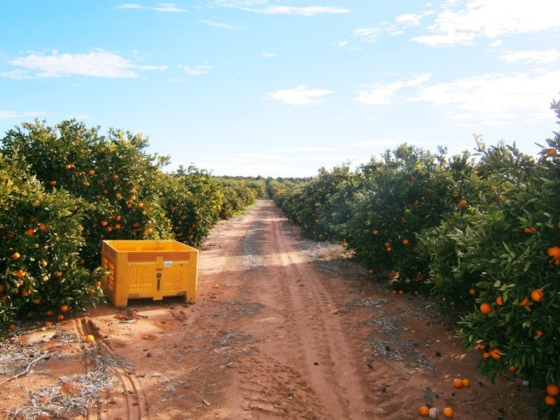 30 Rex Andrew Rd, Golden Heights SA 5322