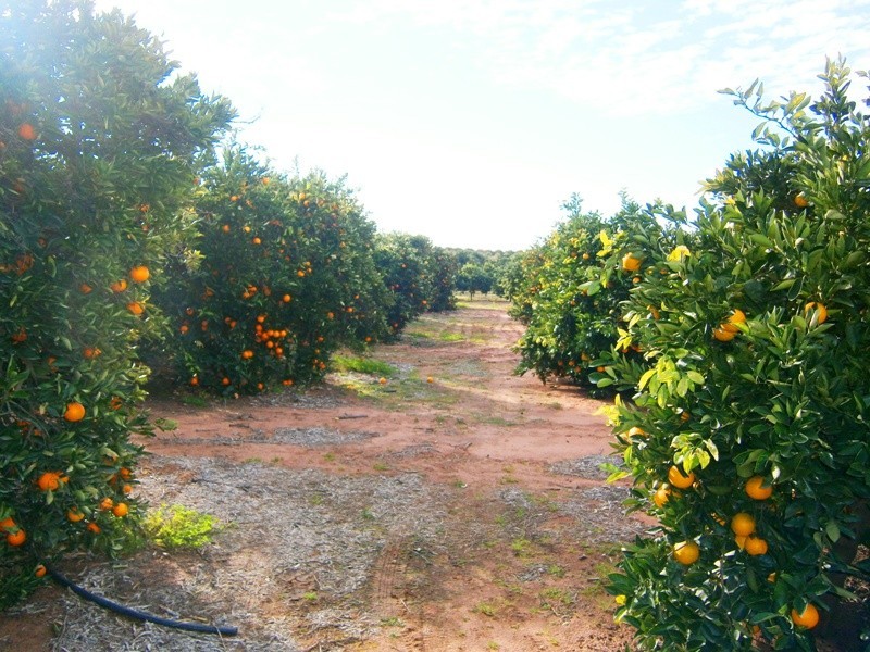 30 Rex Andrew Rd, Golden Heights SA 5322