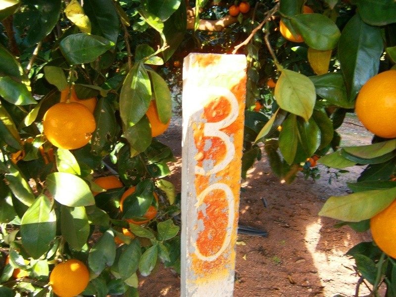 30 Rex Andrew Rd, Golden Heights SA 5322