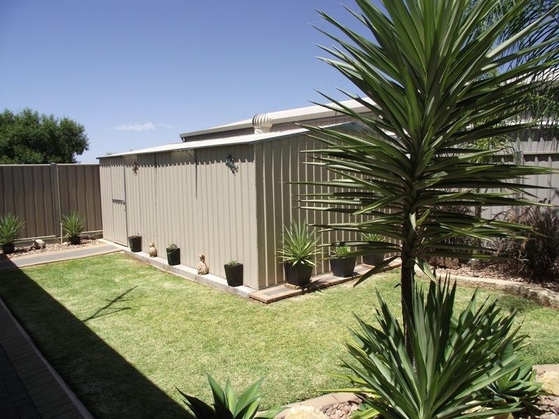 121 Kay Avenue, Berri SA 5343