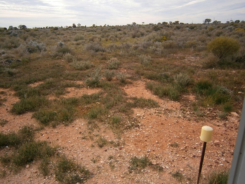 270 Lovers Lane, Morgan SA 5320