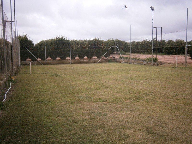 399 Virgo Road, Waikerie SA 5330