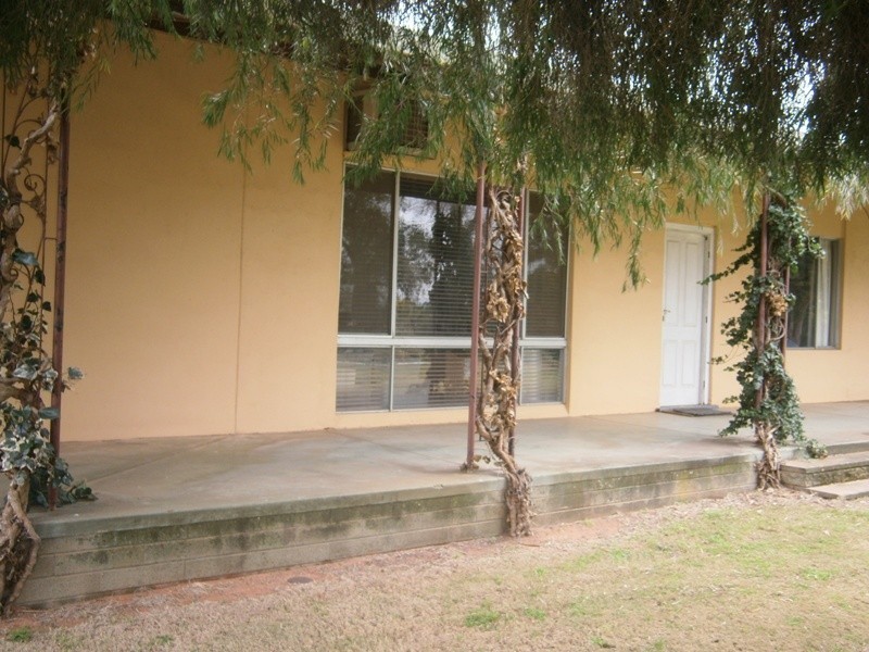 399 Virgo Road, Waikerie SA 5330