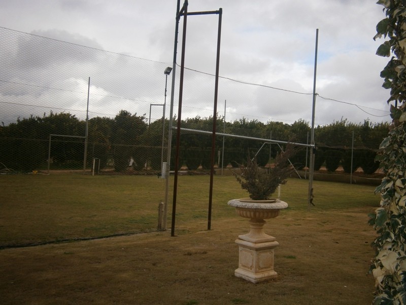 399 Virgo Road, Waikerie SA 5330