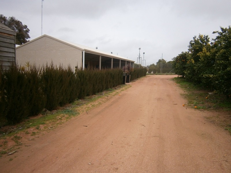 399 Virgo Road, Waikerie SA 5330