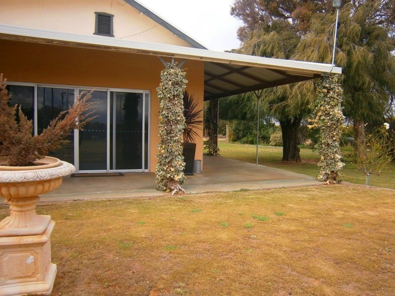 399 Virgo Road, Waikerie SA 5330