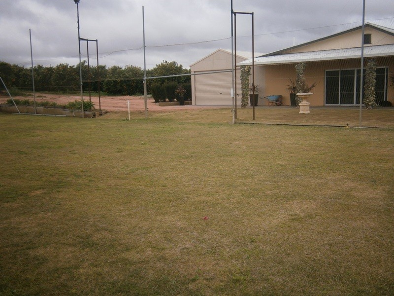 399 Virgo Road, Waikerie SA 5330