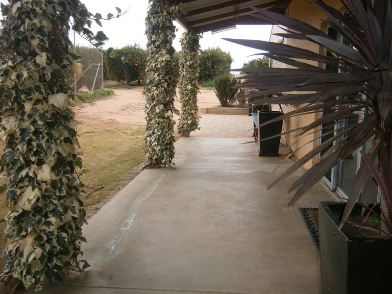 399 Virgo Road, Waikerie SA 5330