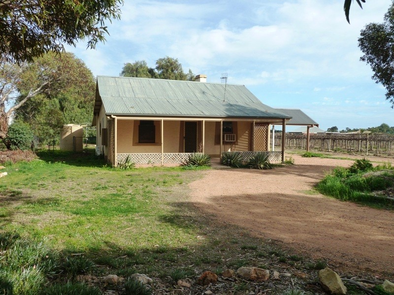 72 Thelma Road, Barmera SA 5345