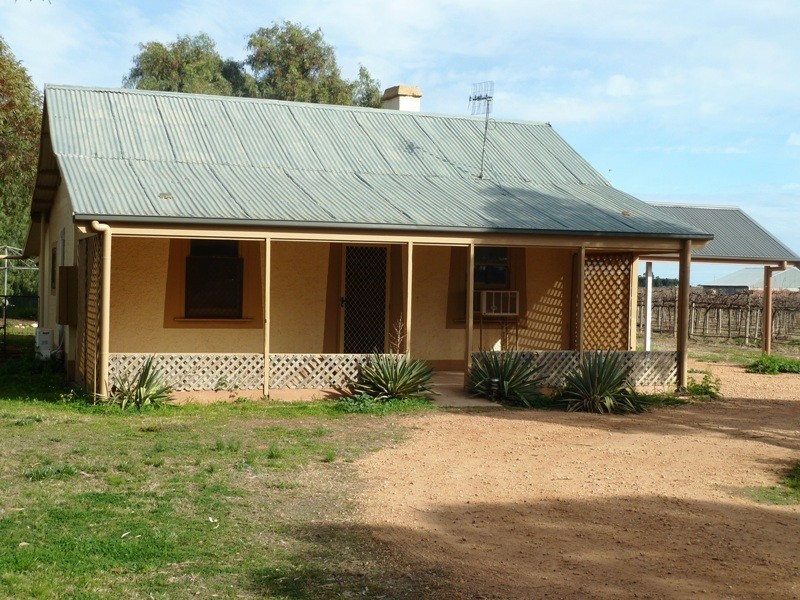 72 Thelma Road, Barmera SA 5345