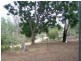 Lots 43 , 44 and 45 Kookaburra Lane, Idyll Acres, Morgan SA 5320