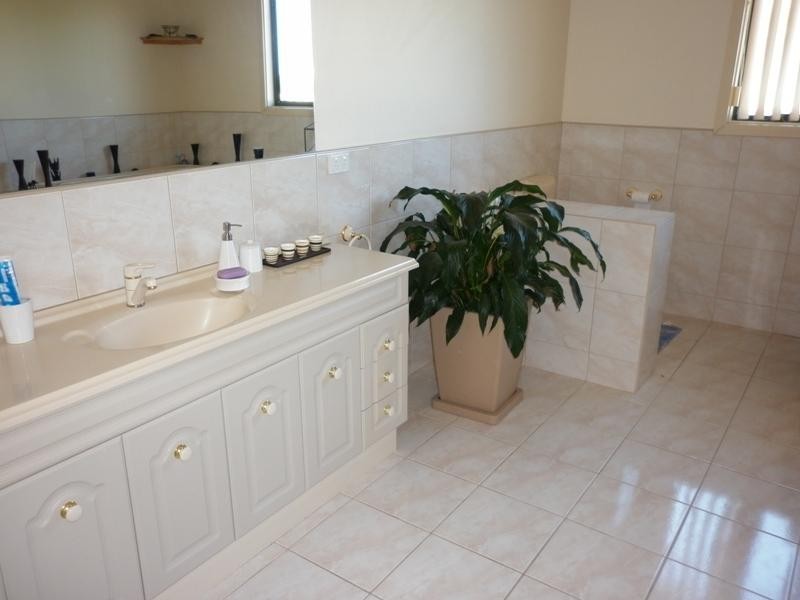 Lot 100 Government Road, Renmark SA 5341