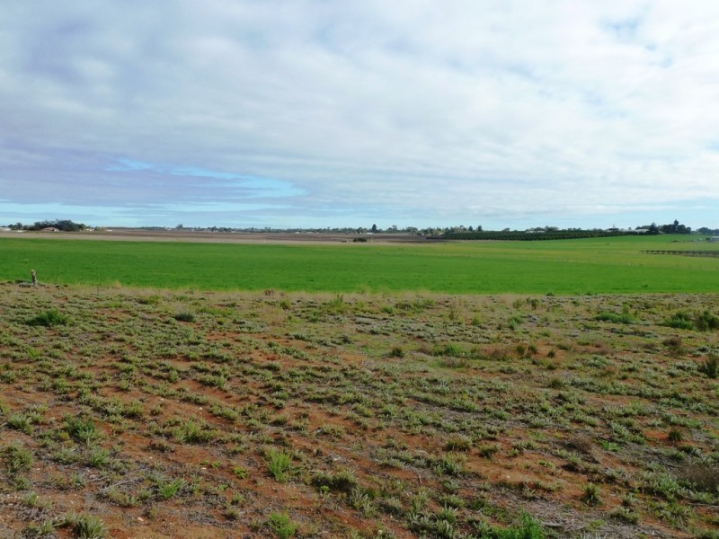 283 Kibby Road, Loxton SA 5333