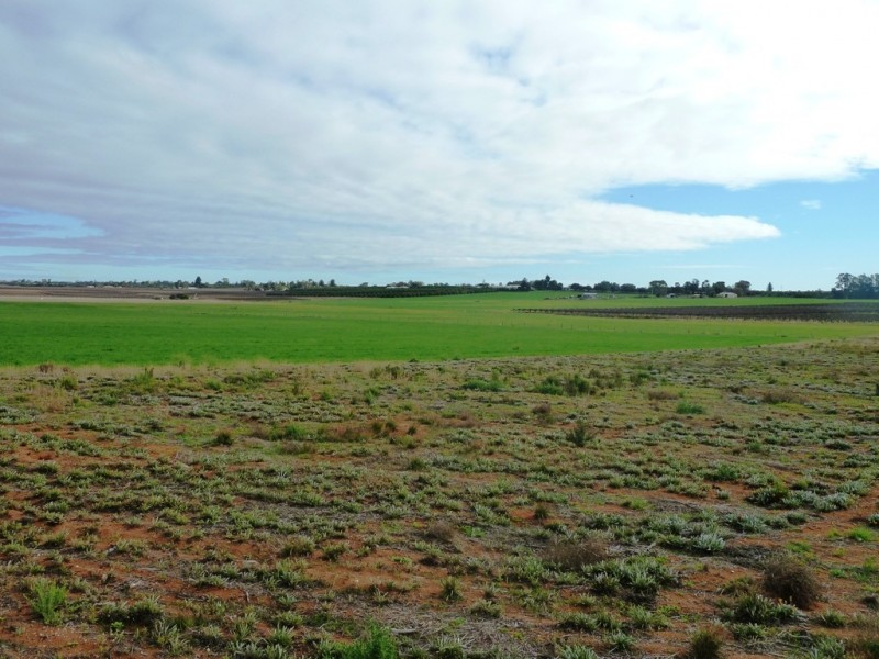 283 Kibby Road, Loxton SA 5333