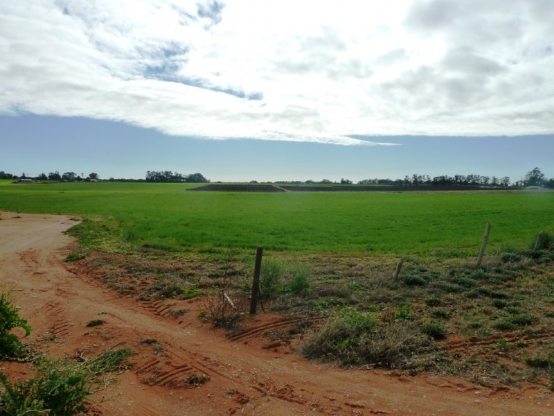 283 Kibby Road, Loxton SA 5333