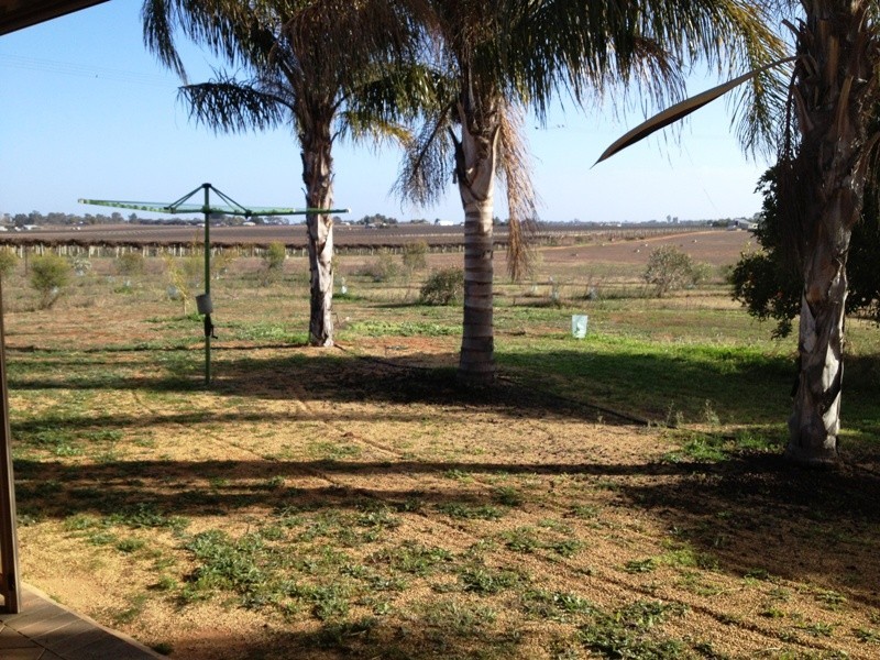 61 Gordon Road, Loxton SA 5333
