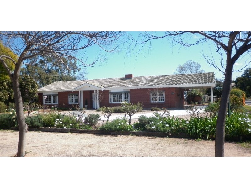 2 Marrara Street, Renmark SA 5341