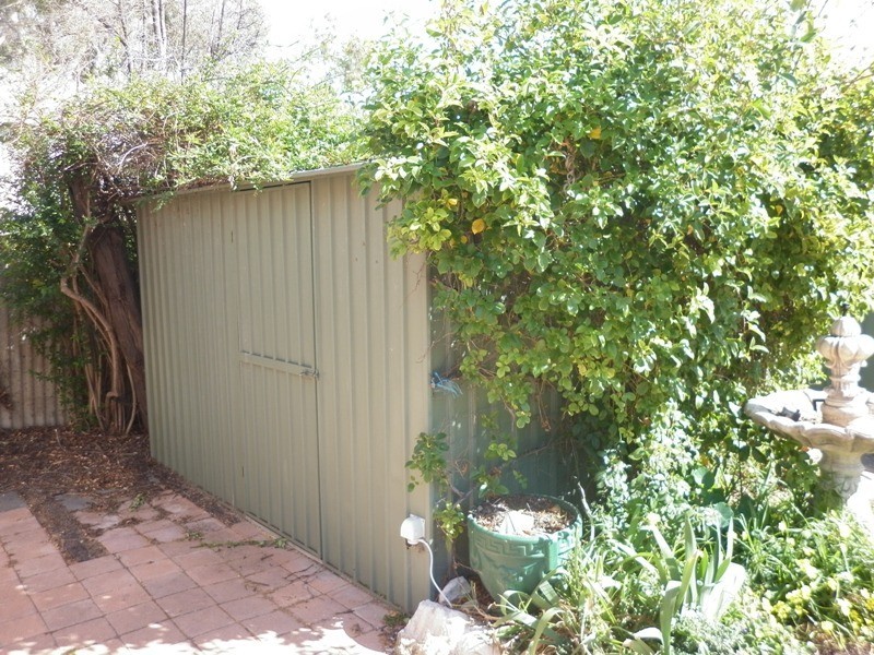 2 Marrara Street, Renmark SA 5341