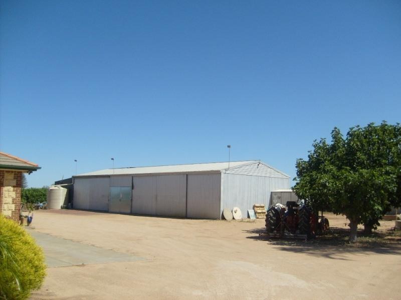 99 Winkie Road, Winkie SA 5343