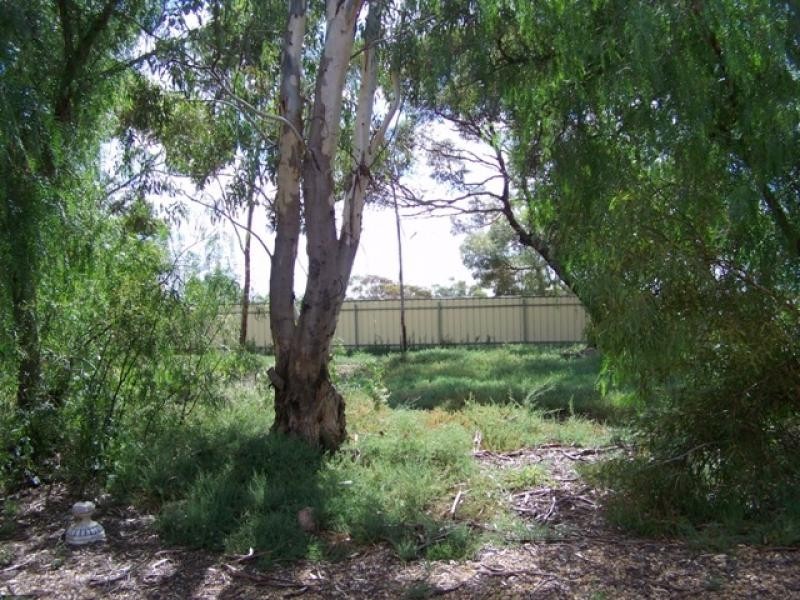 6 North East Terrace, Morgan SA 5320