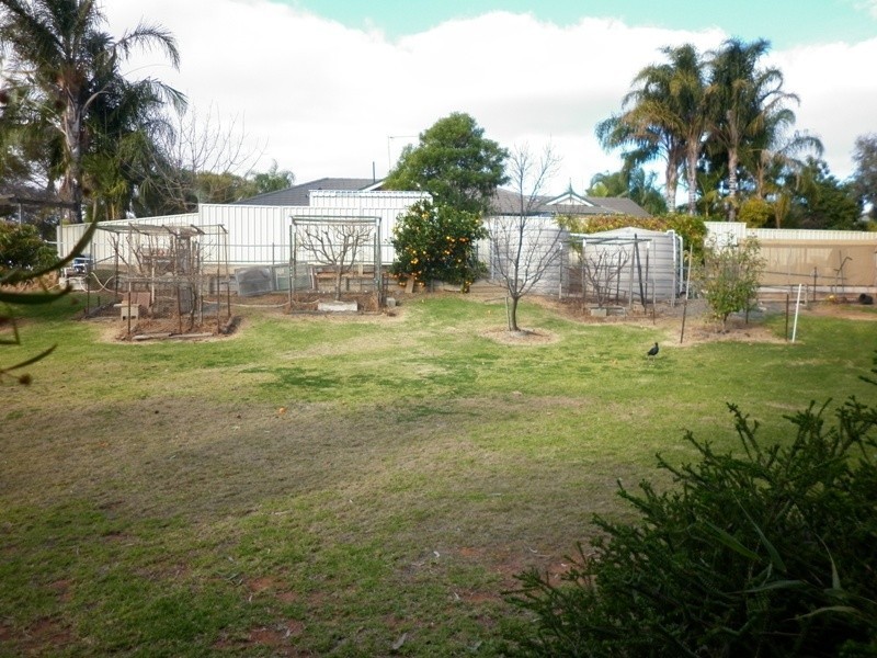 6 Anabranch Place, Renmark SA 5341