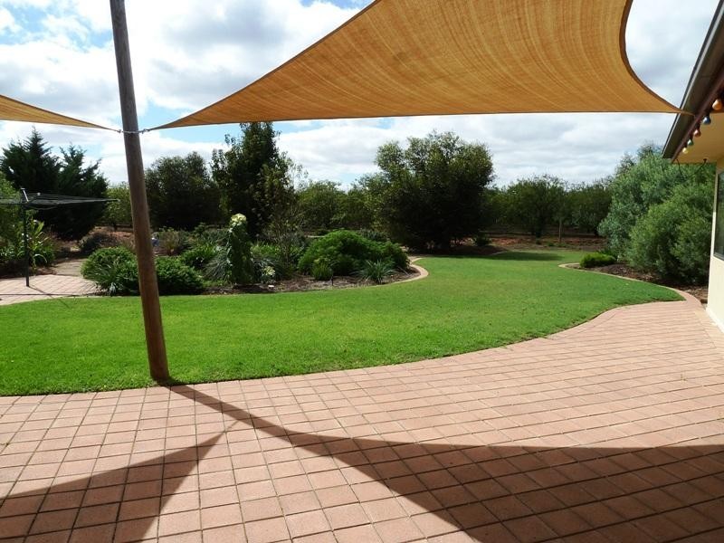 111 Badcoe Road, Loxton SA 5333