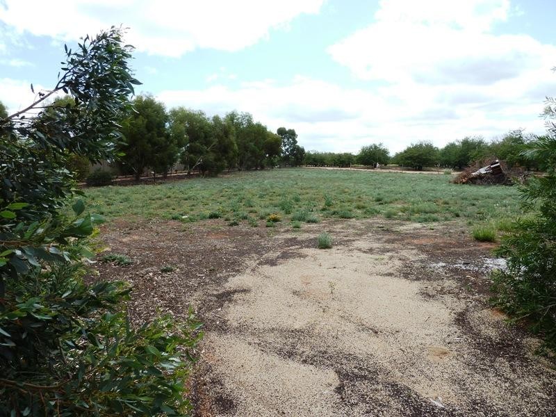 111 Badcoe Road, Loxton SA 5333