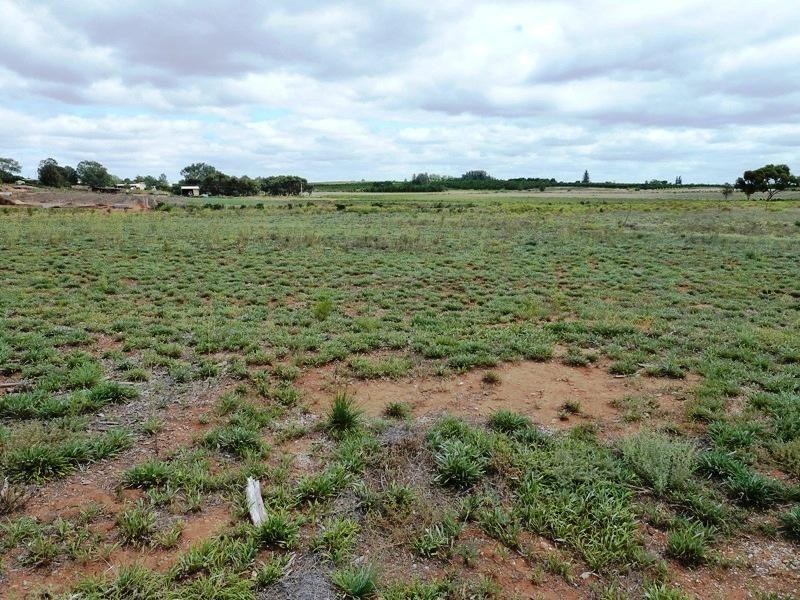 Lot 10 Fairweather Avenue, Loxton SA 5333