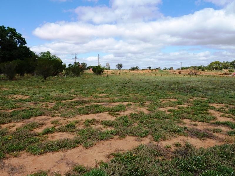 Lot 10 Fairweather Avenue, Loxton SA 5333