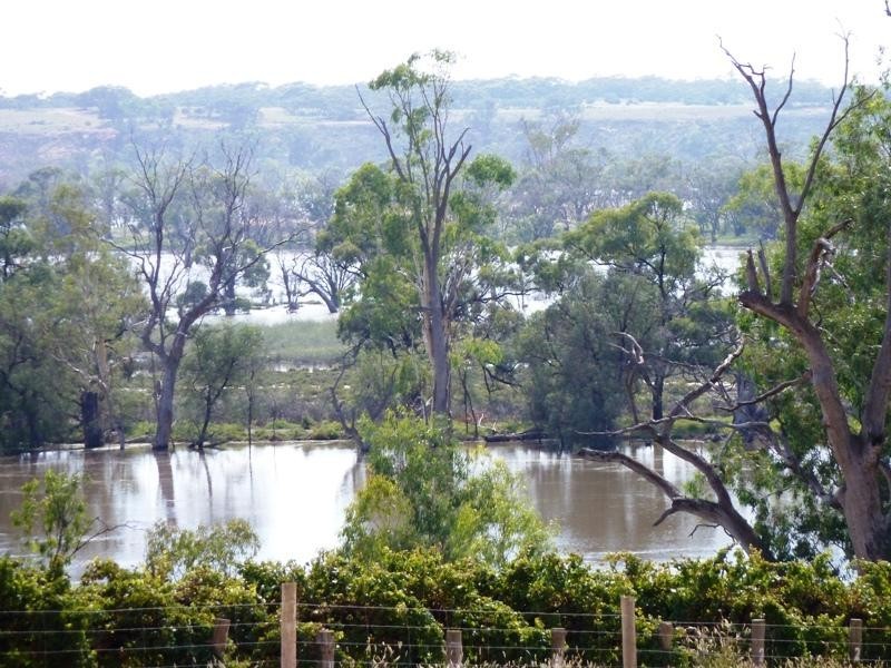 Lot 37 Hundred of Pyap, New Residence SA 5333