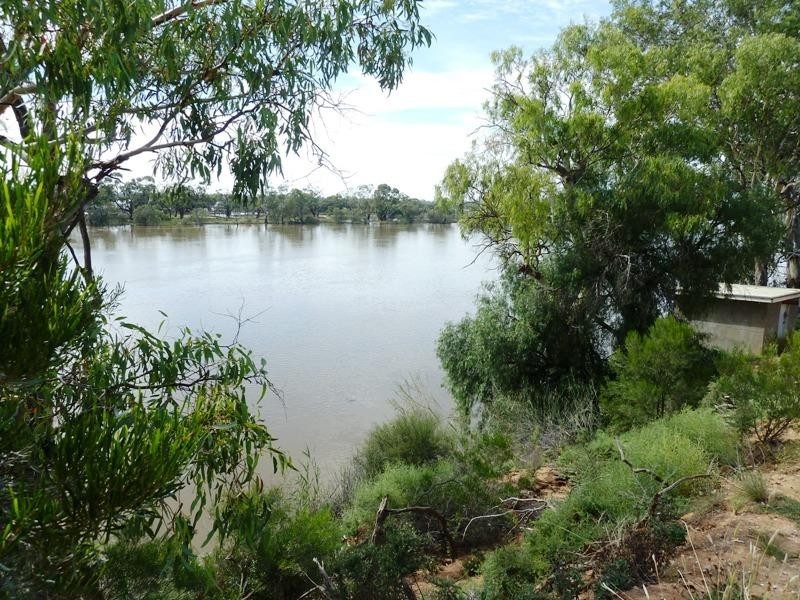 Lot 37 Hundred of Pyap, New Residence SA 5333
