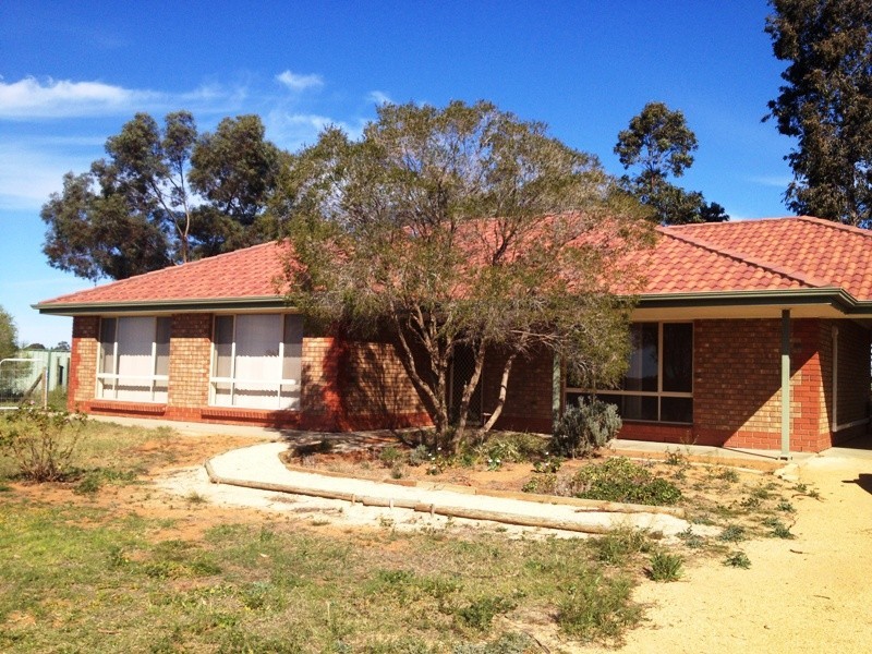 139 Gilmour Road, Barmera SA 5345