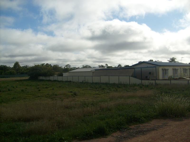 Lot 12 Downer Avenue, Lyrup SA 5343