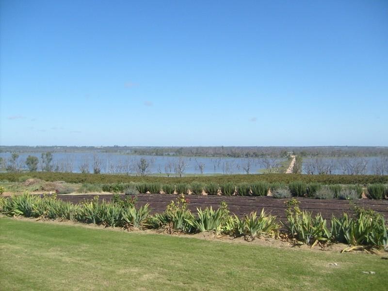 260 Loveday Road, Loveday SA 5345