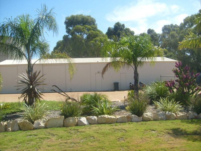 260 Loveday Road, Loveday SA 5345
