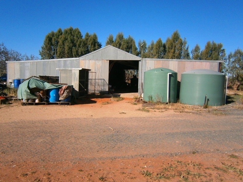 59 Perry Road, Waikerie SA 5330