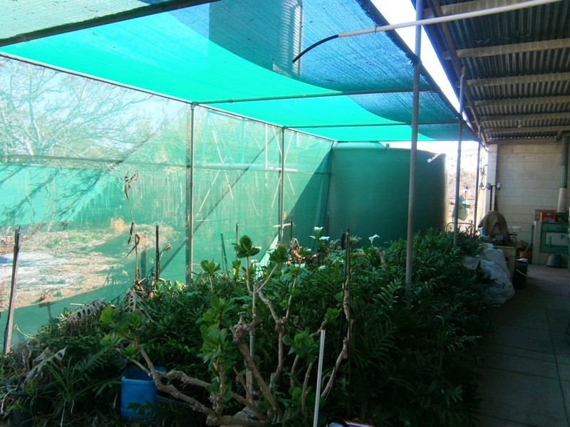 59 Perry Road, Waikerie SA 5330