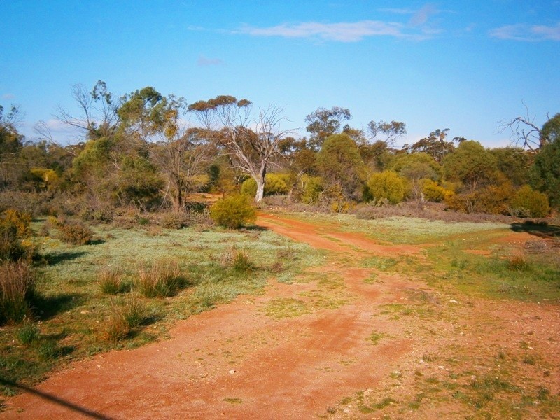 59 Perry Road, Waikerie SA 5330