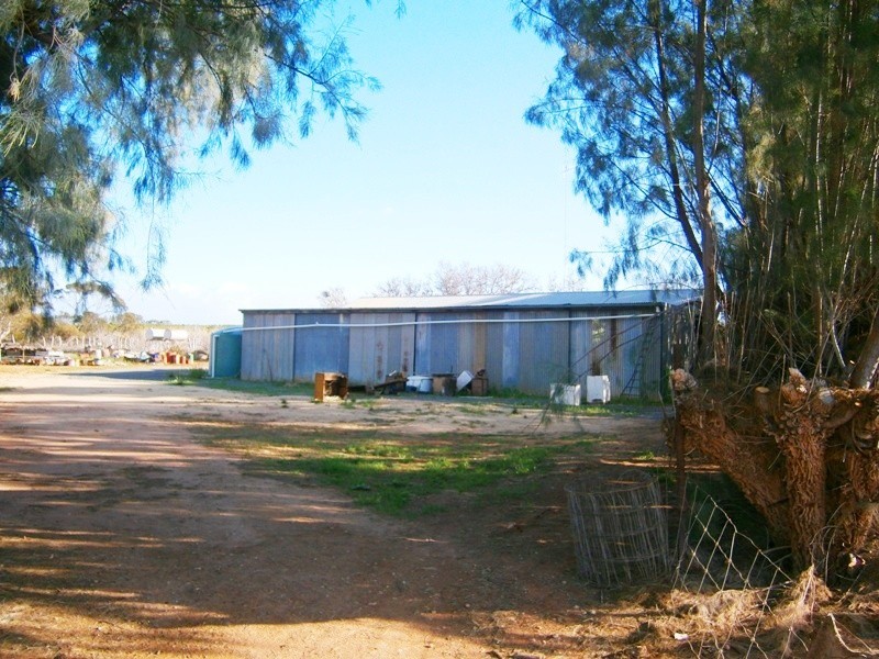 59 Perry Road, Waikerie SA 5330