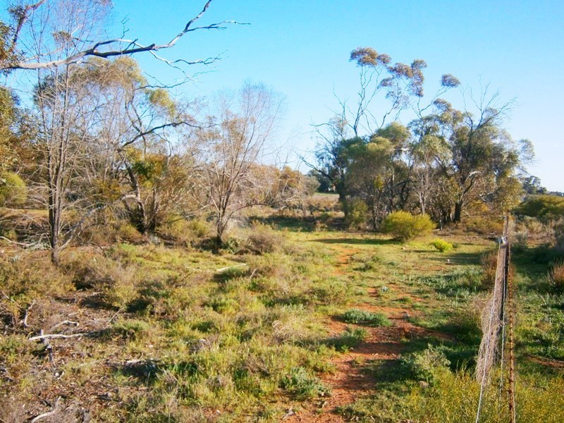 59 Perry Road, Waikerie SA 5330