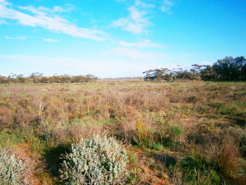 59 Perry Road, Waikerie SA 5330