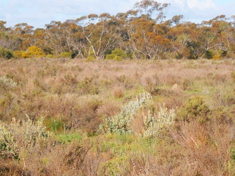 59 Perry Road, Waikerie SA 5330