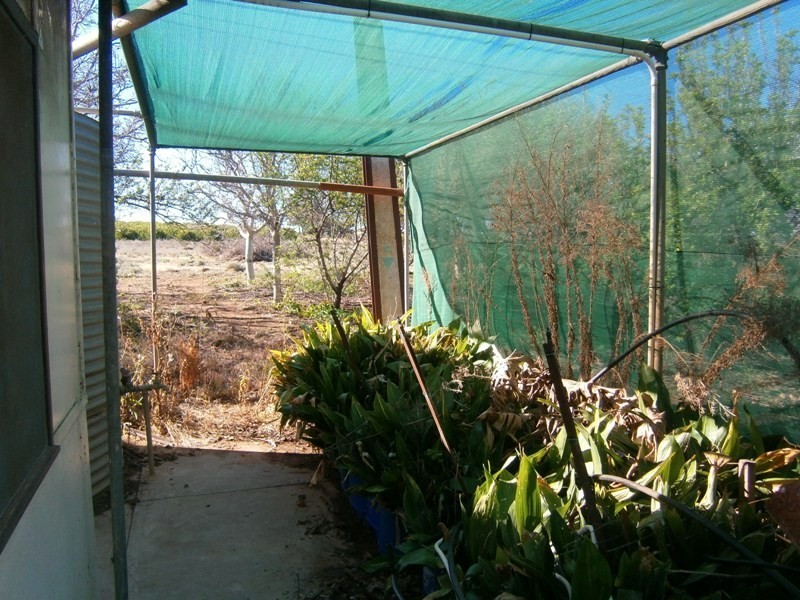 59 Perry Road, Waikerie SA 5330