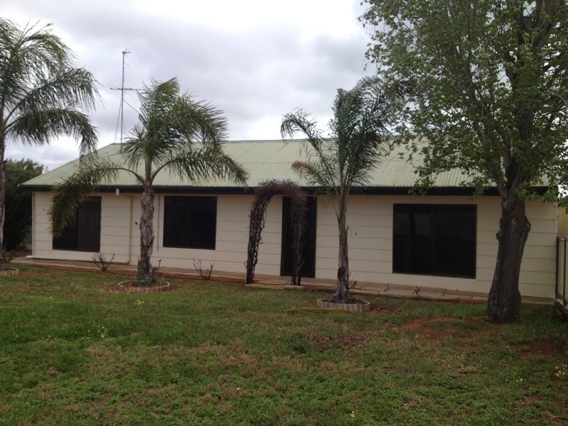 33 McKenzie Road, Barmera SA 5345